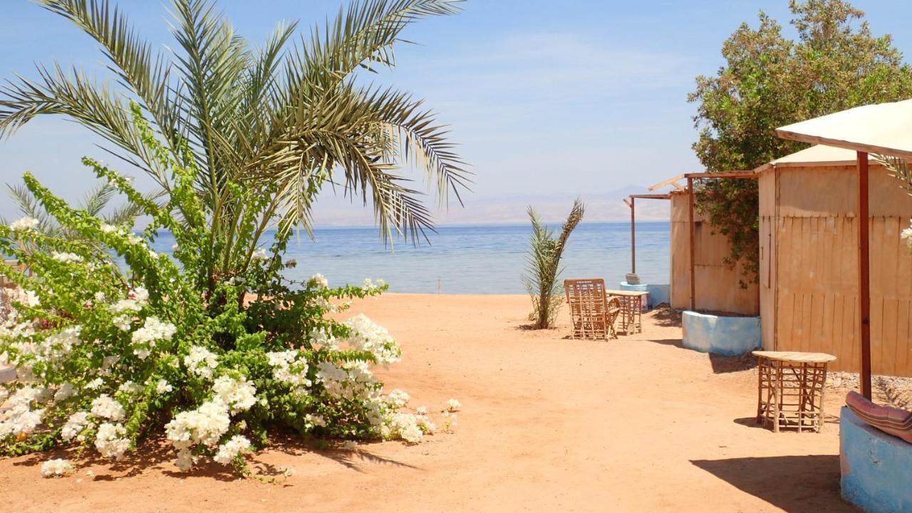 Bedouin Star Hotell Taba Exteriör bild