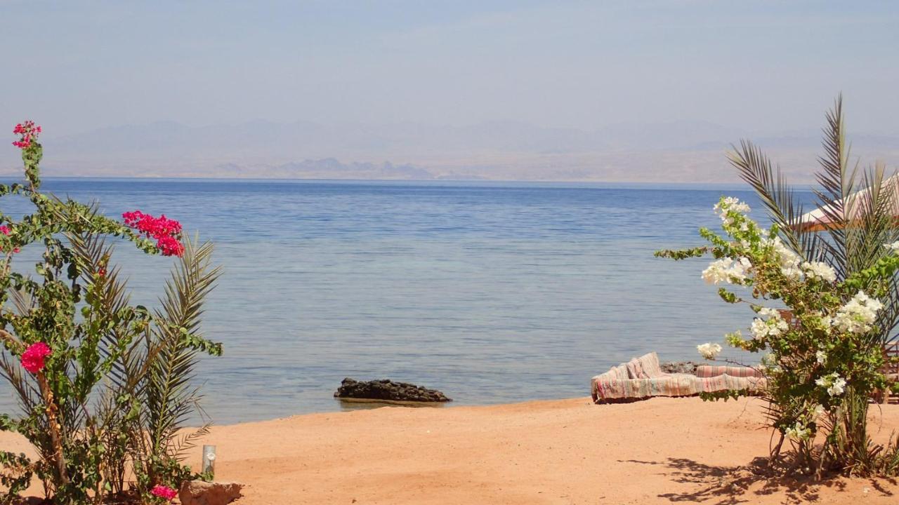 Bedouin Star Hotell Taba Exteriör bild