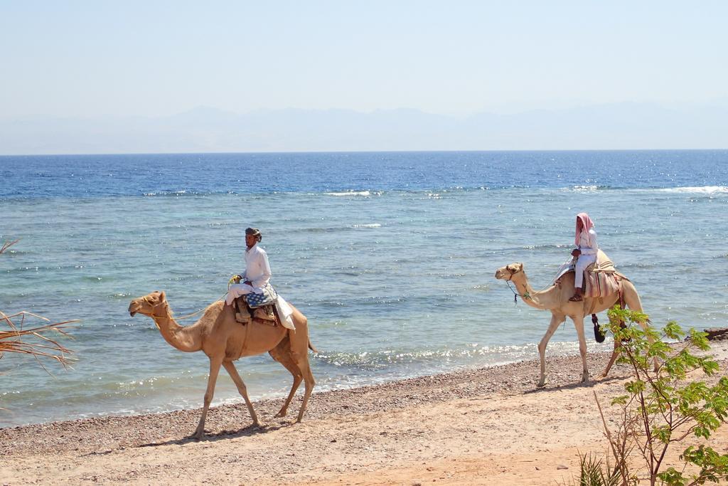 Bedouin Star Hotell Taba Exteriör bild