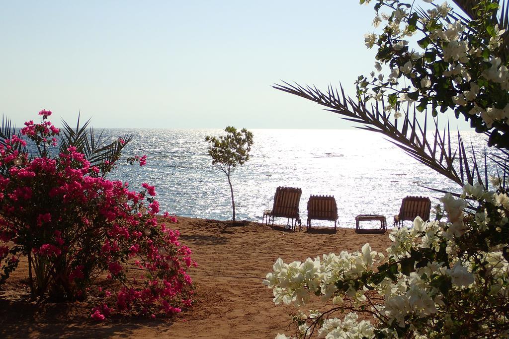 Bedouin Star Hotell Taba Exteriör bild