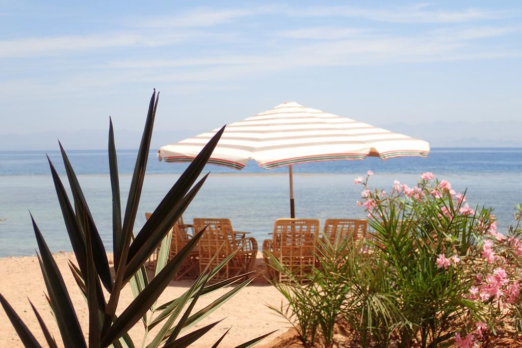 Bedouin Star Hotell Taba Exteriör bild
