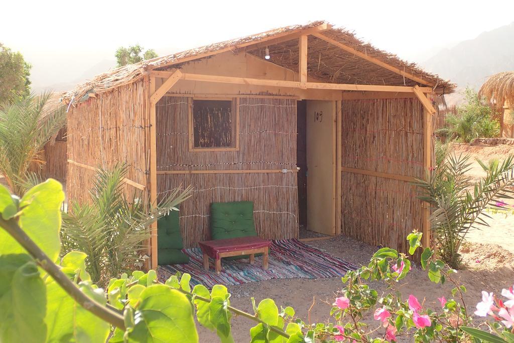 Bedouin Star Hotell Taba Exteriör bild