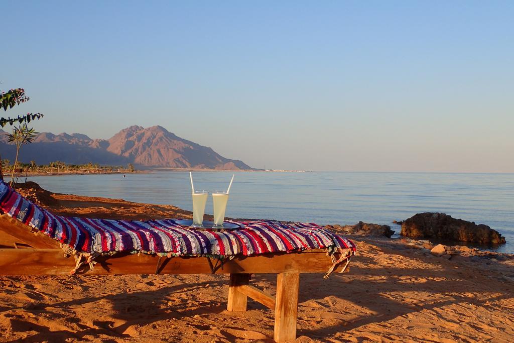 Bedouin Star Hotell Taba Exteriör bild