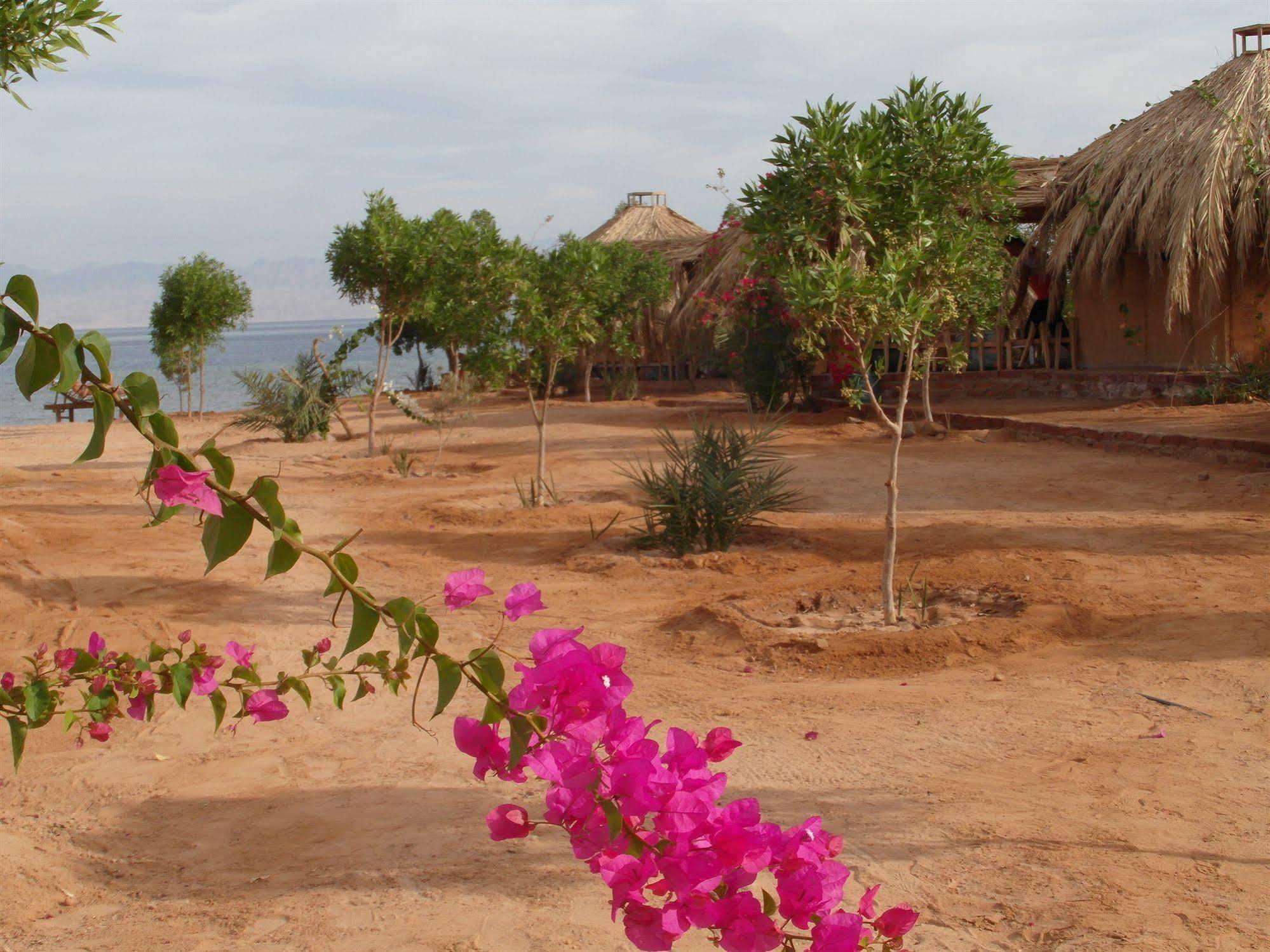 Bedouin Star Hotell Taba Exteriör bild