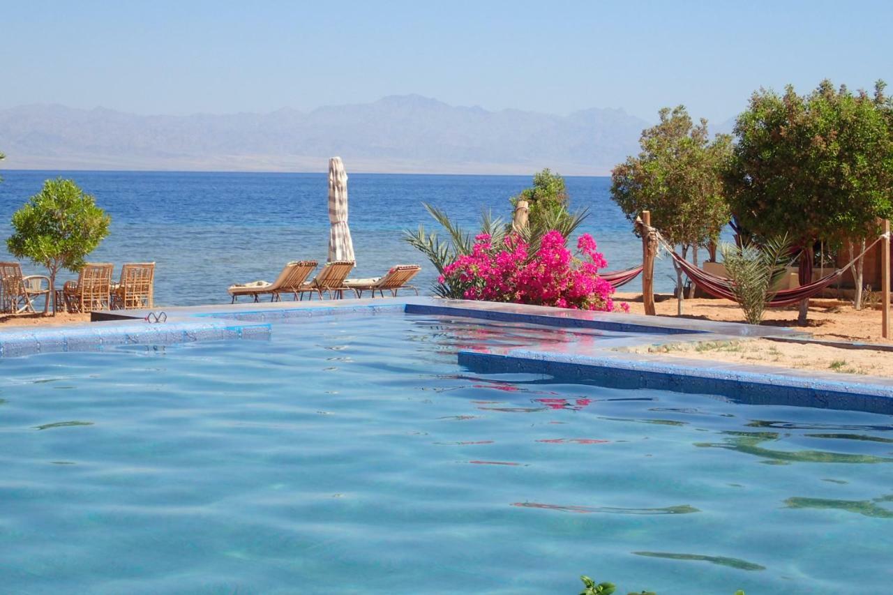 Bedouin Star Hotell Taba Exteriör bild